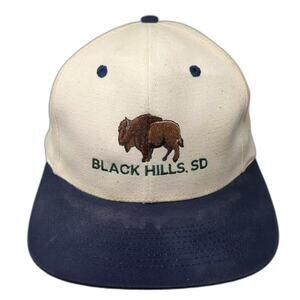 T.I. Black Hills SD Buffalo Bison Snapback Hat Beige Blue OSFA Green Underbrim